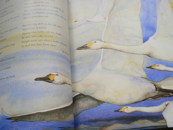 The Wild Swans at Coole by W.B. Yeats - Illustrated by Jackie Morris, The Barefoot Book of Classic Poems